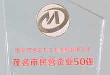 ïII(y)50(qing)
